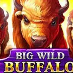 Big Wild Buffalo